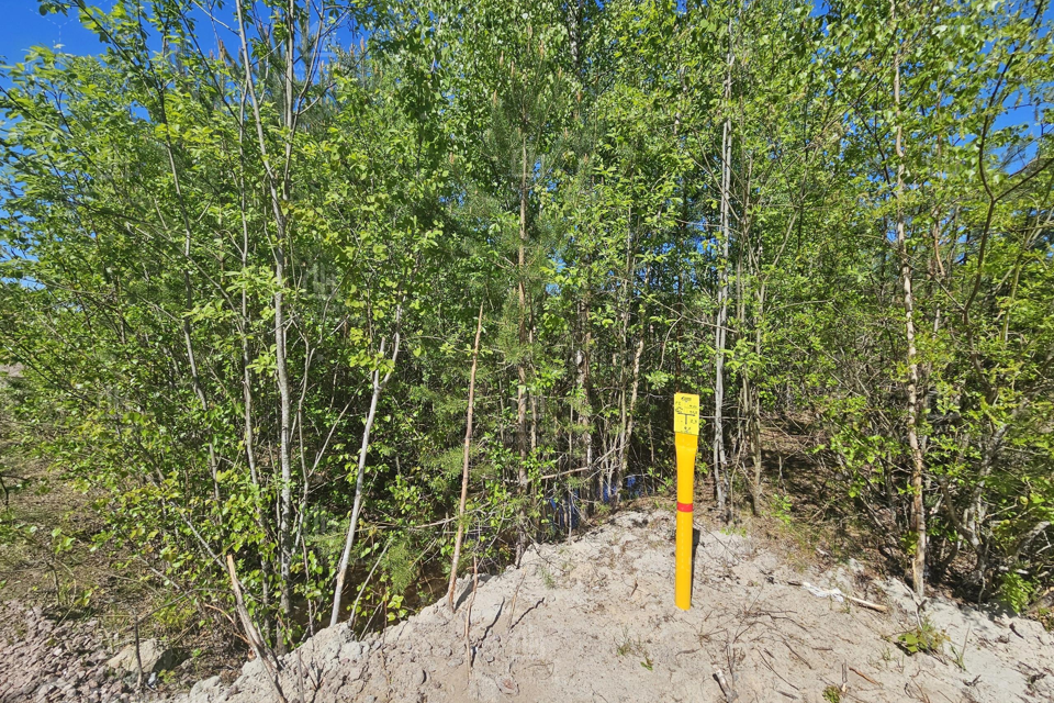 земля р-н Всеволожский городской посёлок имени Морозова фото 5