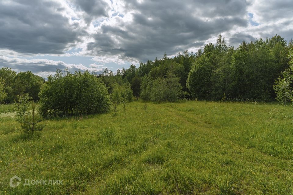 земля р-н Всеволожский фото 8