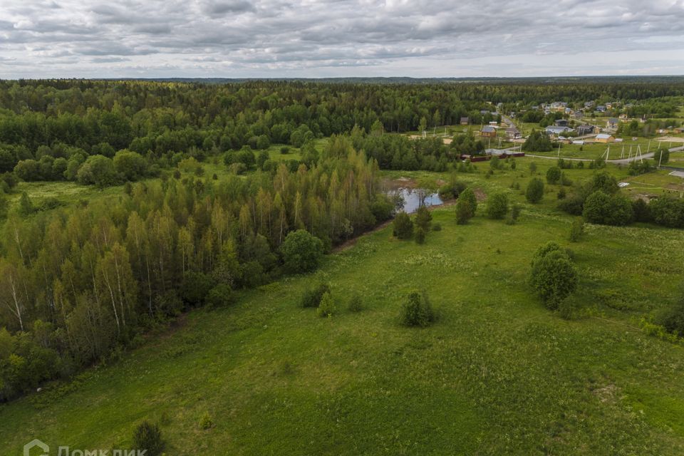 земля р-н Всеволожский фото 7