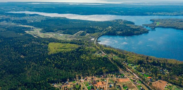 п Красная Долина Приморское городское поселение фото