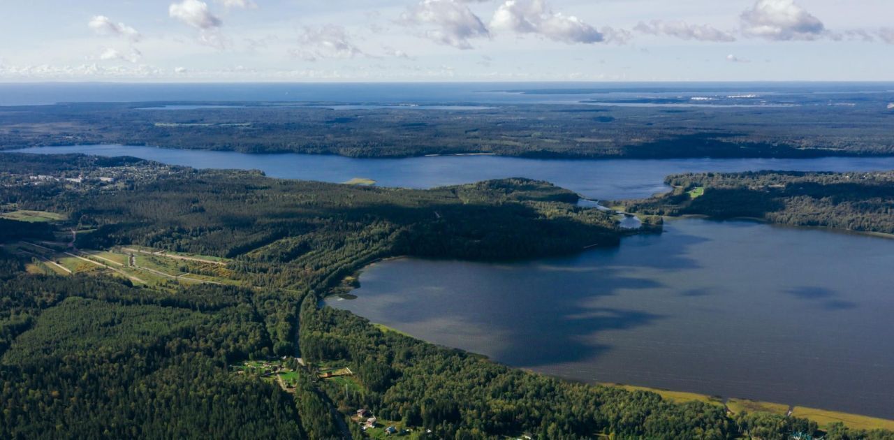 земля р-н Выборгский п Красная Долина Приморское городское поселение фото 7