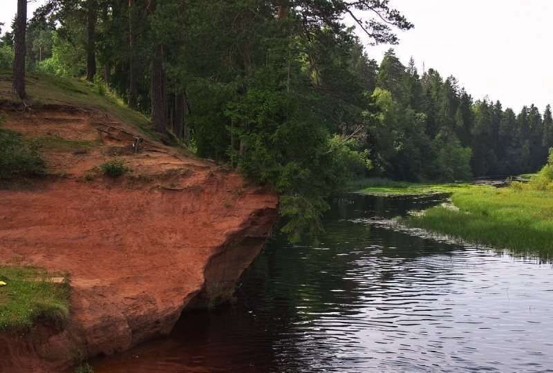 земля р-н Гатчинский п Сиверский 9775 км, Гатчинский муниципальный округ, коттеджный пос. Голубые озёра, 6-я линия, Киевское шоссе фото 30