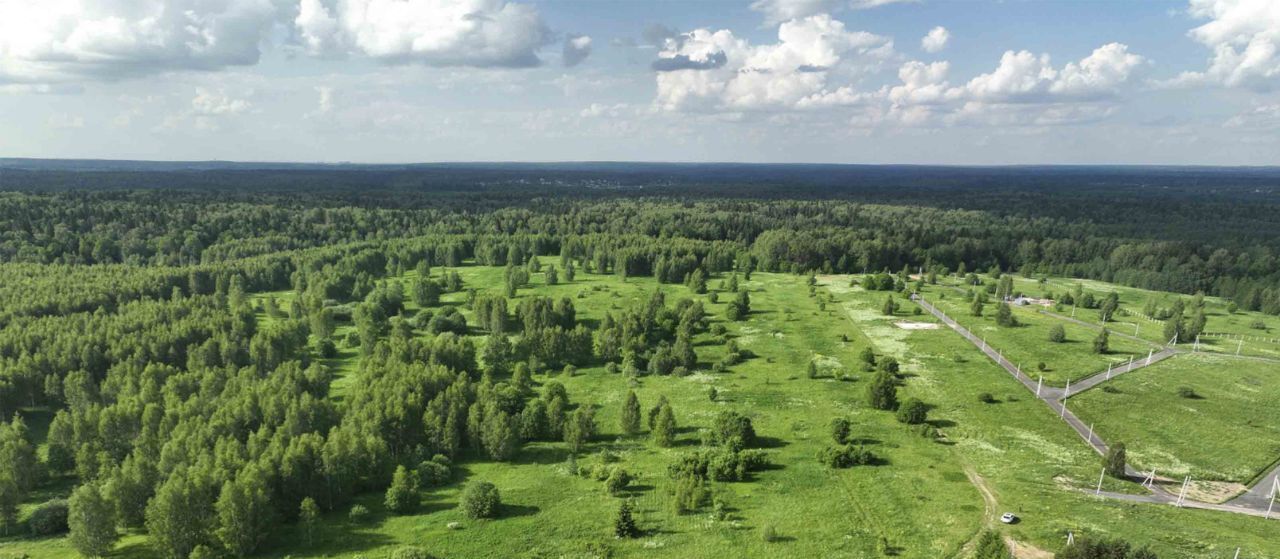 земля городской округ Дмитровский д Сбоево ул. Деревенская фото 3