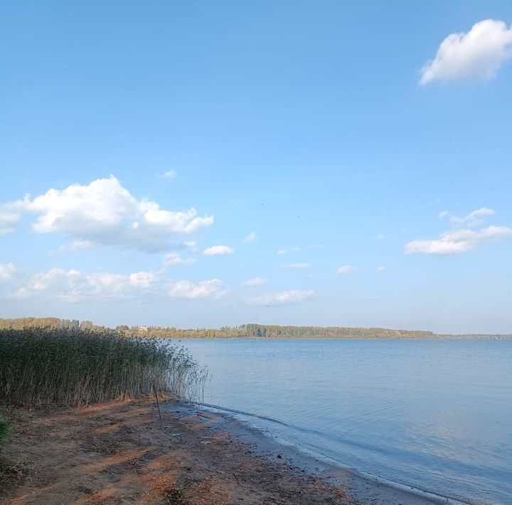 земля городской округ Истра д Лыщёво 2А фото 8