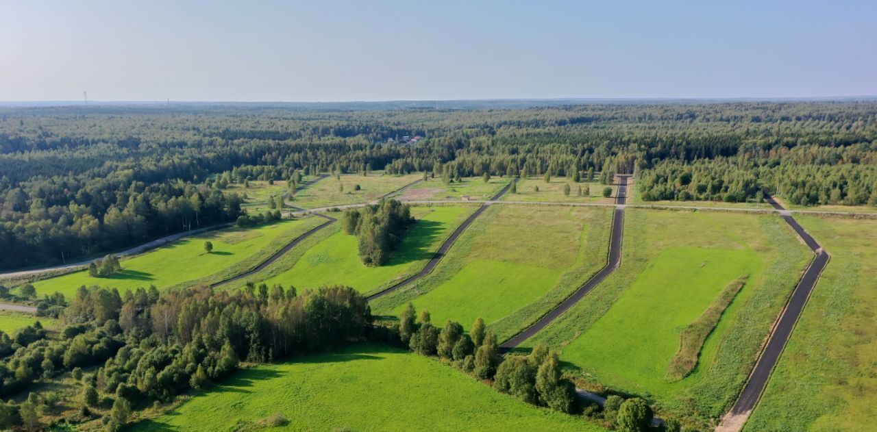 земля городской округ Сергиево-Посадский д Леоново 21А фото 4