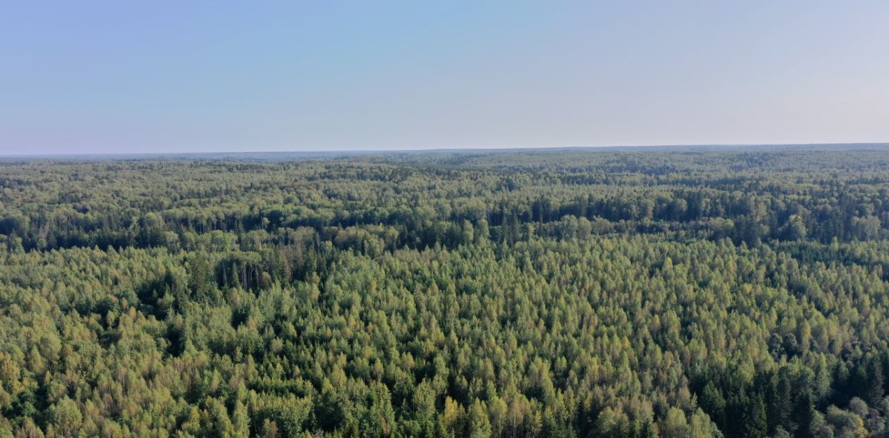 земля городской округ Сергиево-Посадский с Сватково фото 4