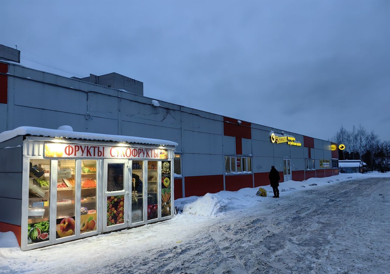 свободного назначения городской округ Пушкинский п Правдинский ул Пушкина 21 фото 2