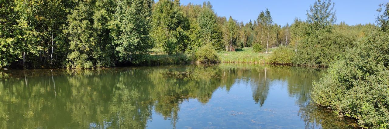 земля городской округ Сергиево-Посадский с Сватково фото 13