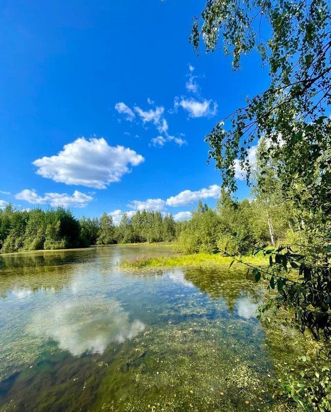 земля городской округ Раменский с Речицы 9760 км, коттеджный пос. Фенино Лесное, Егорьевское шоссе фото 9