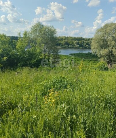 садоводческое товарищество Ока фото