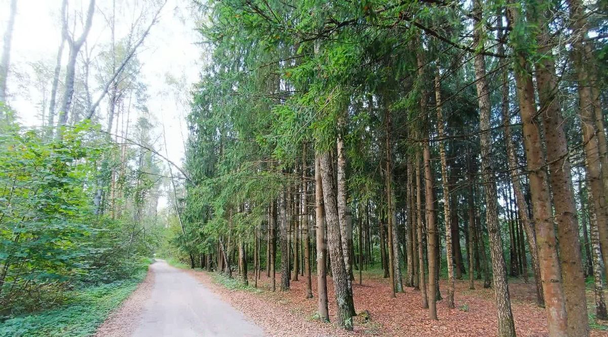 дом г Смоленск р-н Заднепровский Дубровенка СНТ фото 24