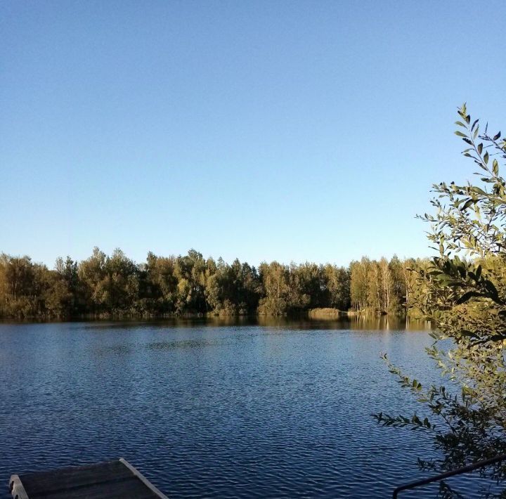 дом городской округ Богородский г Ногинск снт тер.Станкоагрегат 1079 фото 20