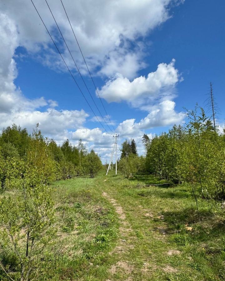 земля городской округ Щёлково д Здехово 9753 км, Фрязино, Фряновское шоссе фото 21