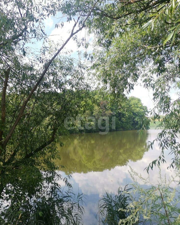 дом р-н Аннинский пгт Анна ул Советская Аннинское городское поселение фото 21