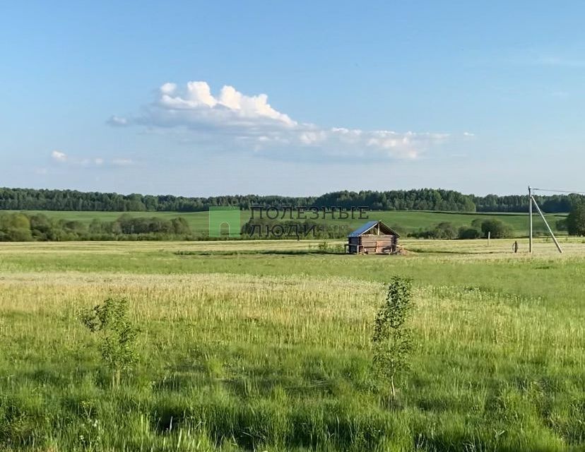 земля р-н Грязовецкий д Степурино ул Полевая фото 5