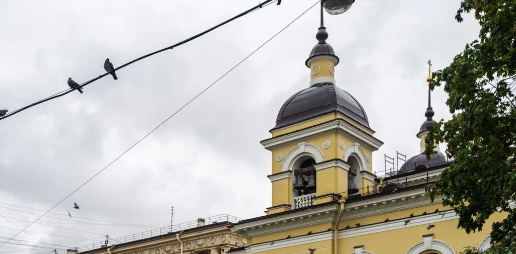 квартира г Санкт-Петербург метро Площадь Восстания ул 5-я Советская 21/23-25 фото 17