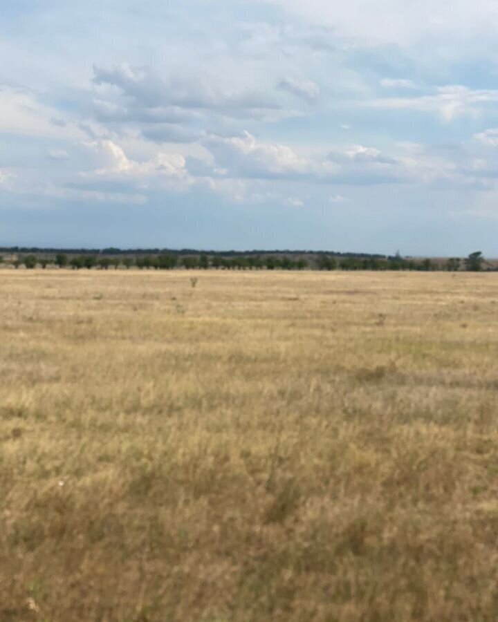 земля р-н Симферопольский пгт Николаевка ул Советская Николаевское сельское поселение, Саки фото 2