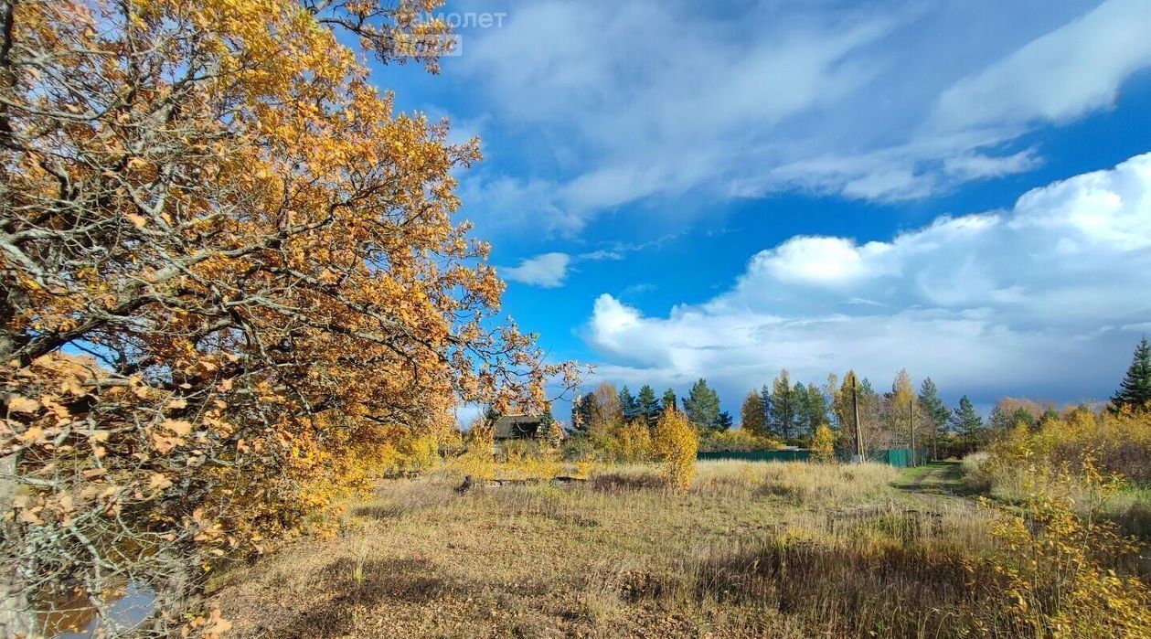 земля р-н Новгородский д Чайка Борковское с пос фото 3