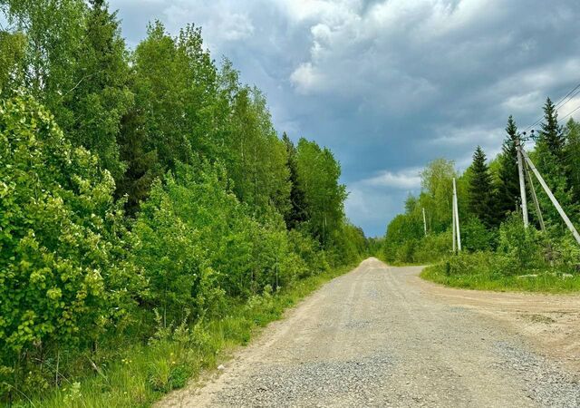 р-н Октябрьский ДПК Созвездие Премиум фото