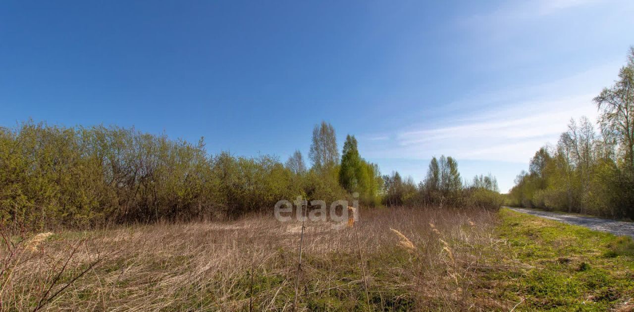 земля г Тюмень снт Виктория-1 фото 7