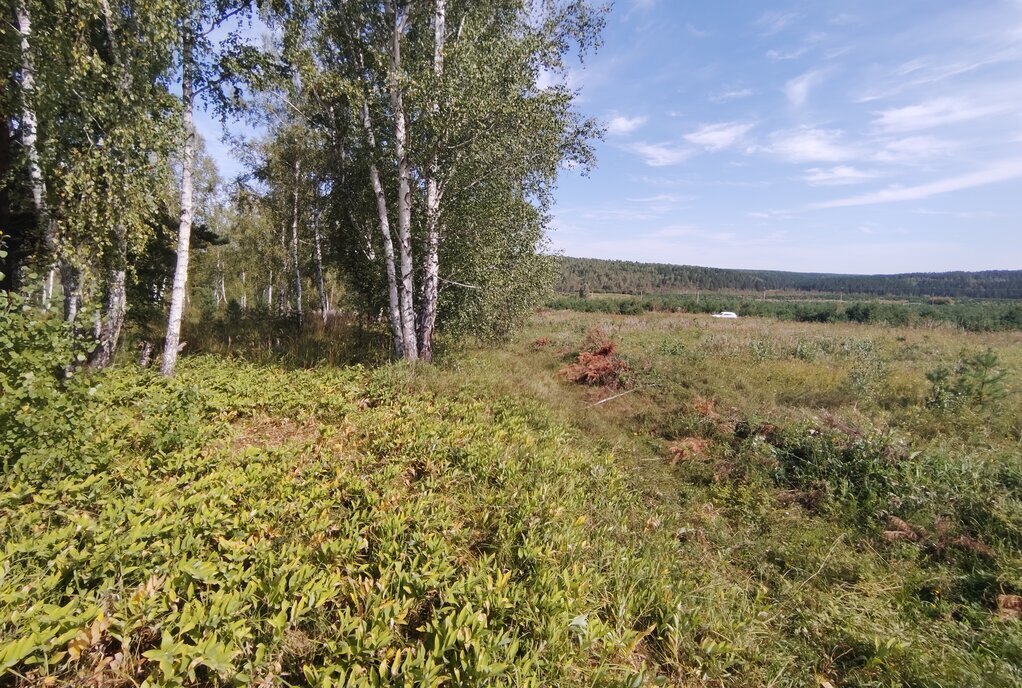 земля р-н Иркутский д Куда пер. Успешный Хомутовское муниципальное образование фото 7