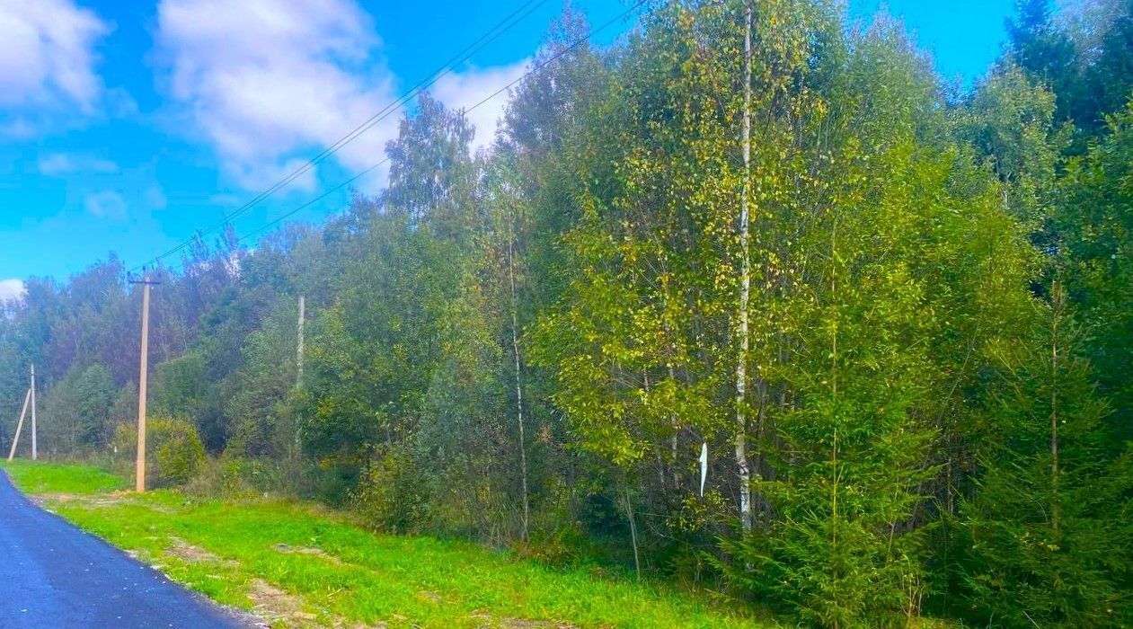 земля городской округ Дмитровский д Кузяево фото 15