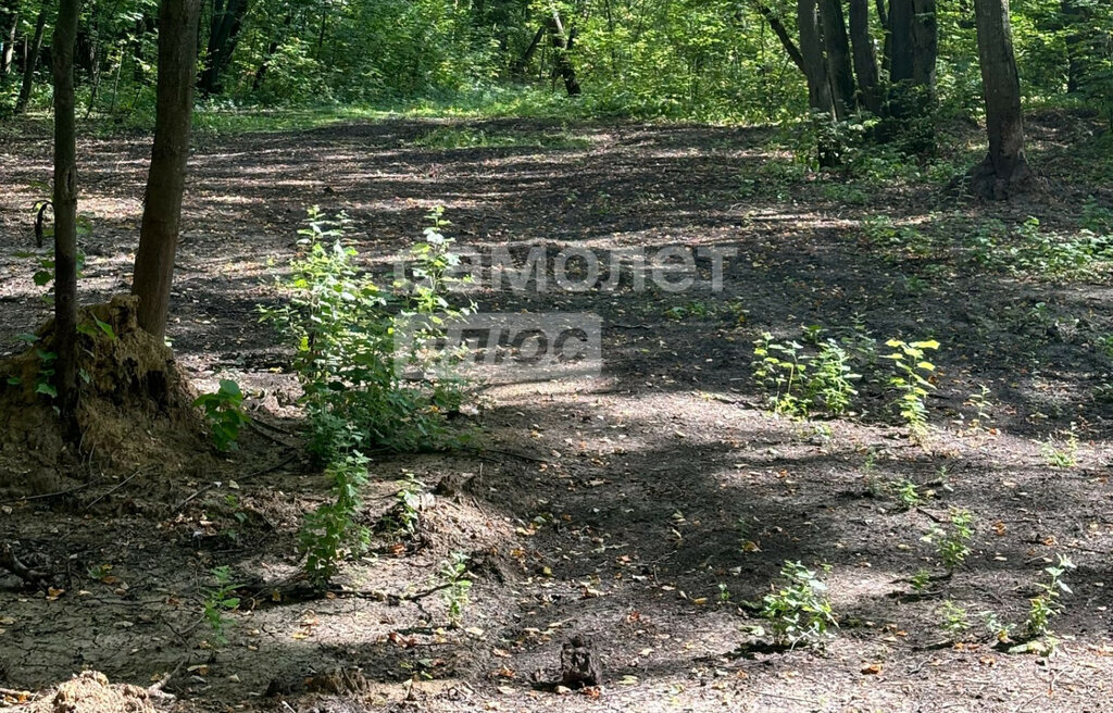 земля р-н Рыбновский с Горяйново Баграмовское сельское поселение фото 2