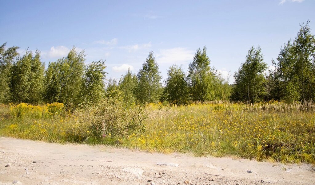 земля городской округ Кашира д Тарасково ул Комсомольская фото 11