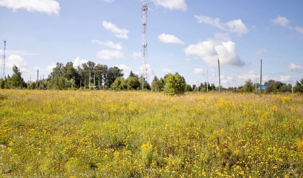 земля городской округ Кашира д Тарасково ул Комсомольская фото 15