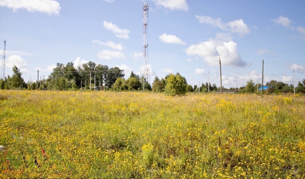 земля городской округ Кашира д Тарасково ул Комсомольская фото 16