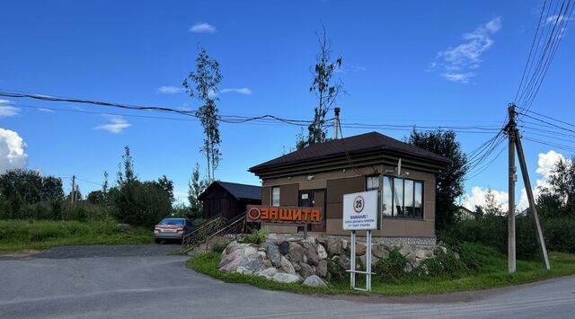 снт Защита Токсовское городское поселение фото