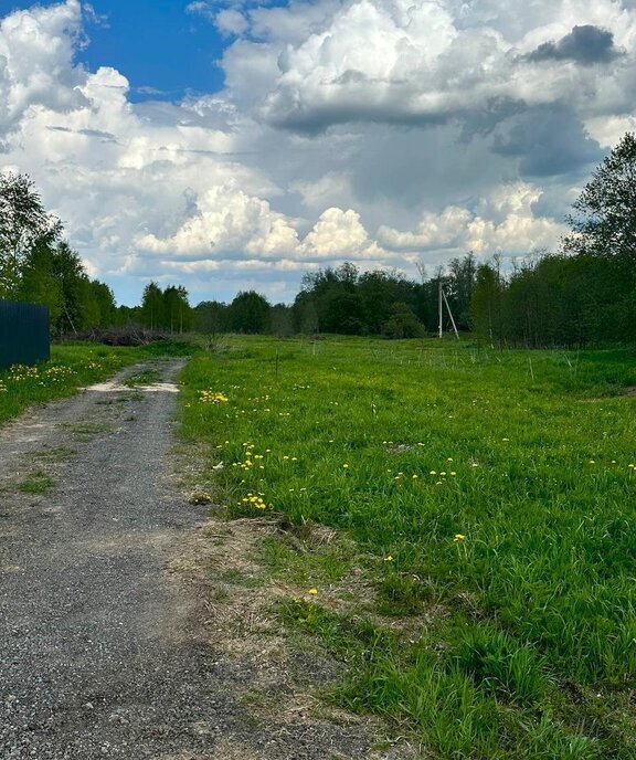 земля городской округ Наро-Фоминский д Настасьино фото 23