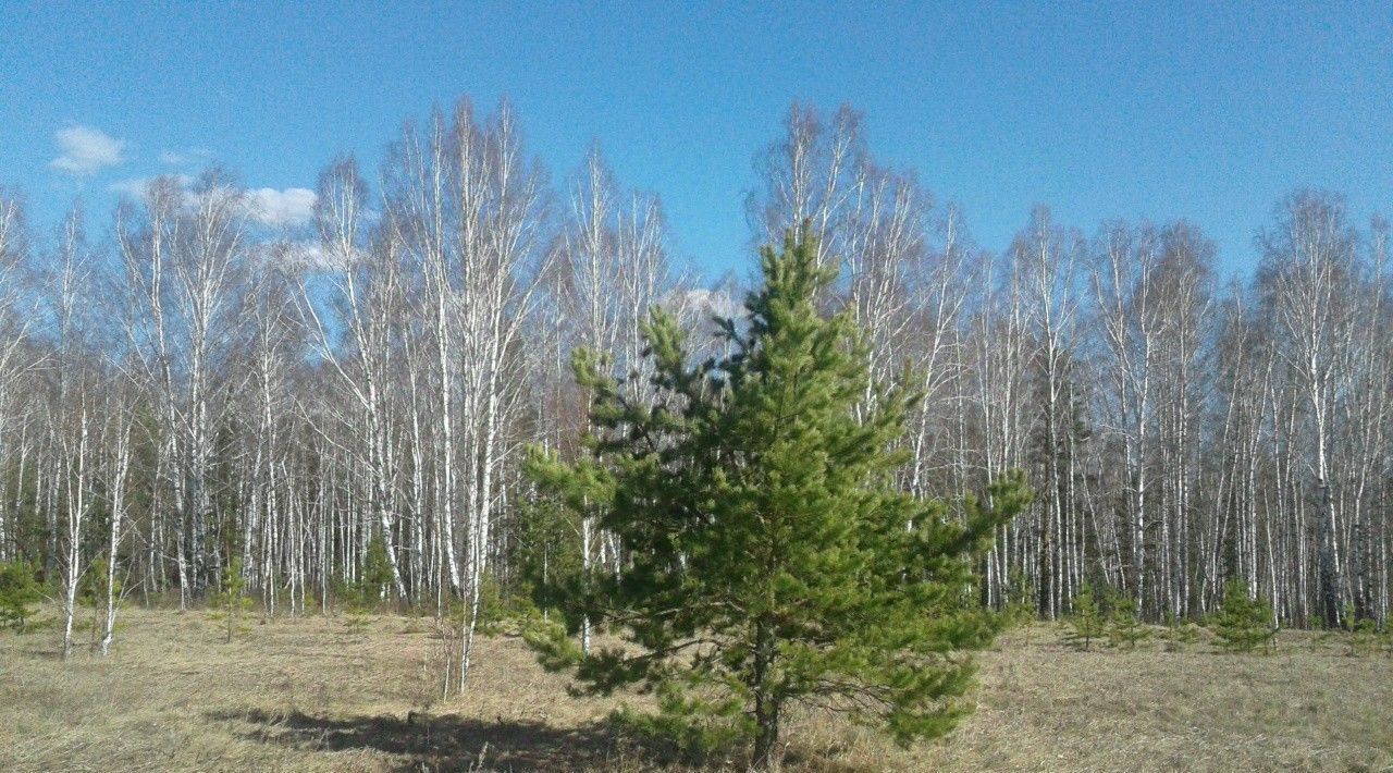 земля р-н Каменский д Бекленищева фото 2