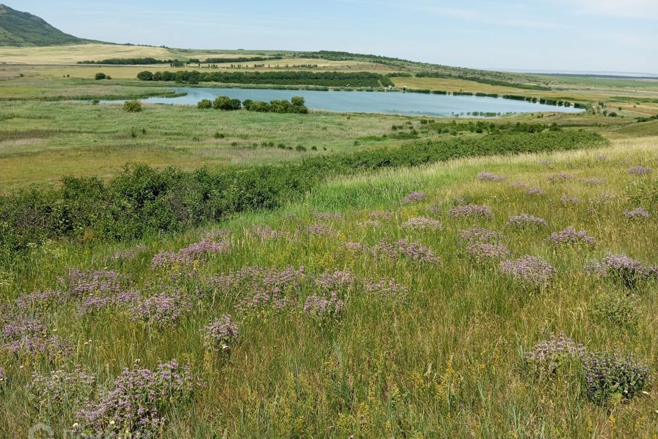 земля р-н Предгорный хутор Воронов фото 1