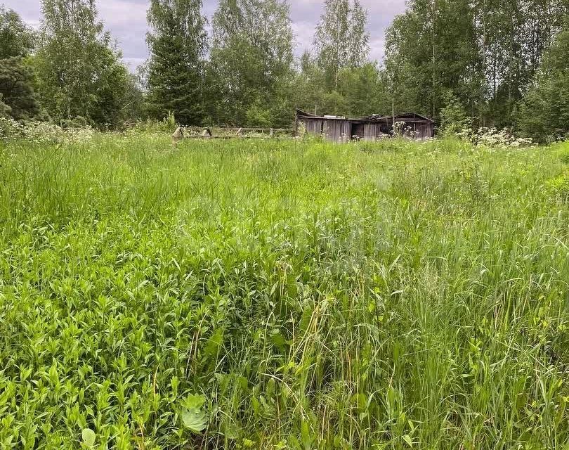 земля г Вологда городской округ Вологда, садоводческое товарищество Сохатый фото 3