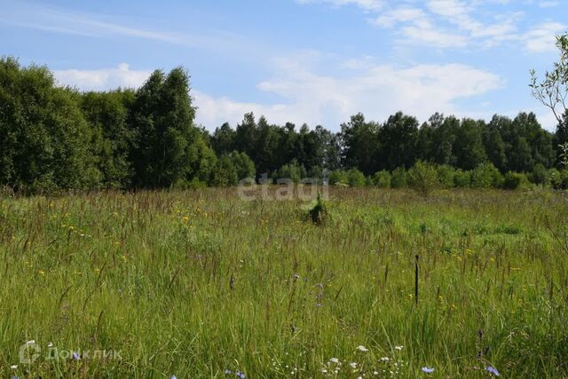 деревня Бобриха фото