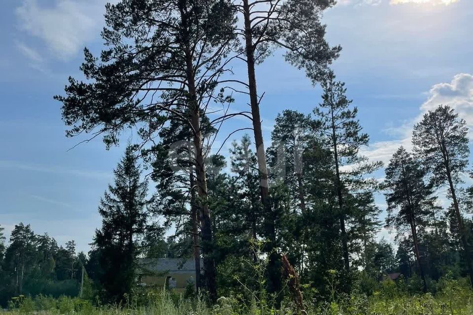 земля г Екатеринбург Екатеринбург городской округ, Садовый фото 4