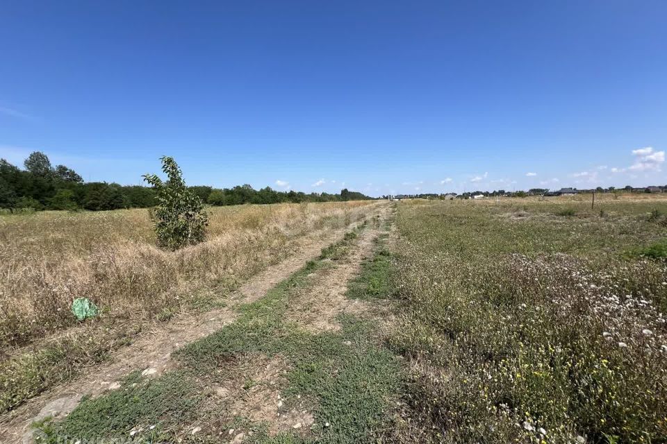 земля г Краснодар нп Автомагистраль ул Магистральная Краснодар городской округ фото 2