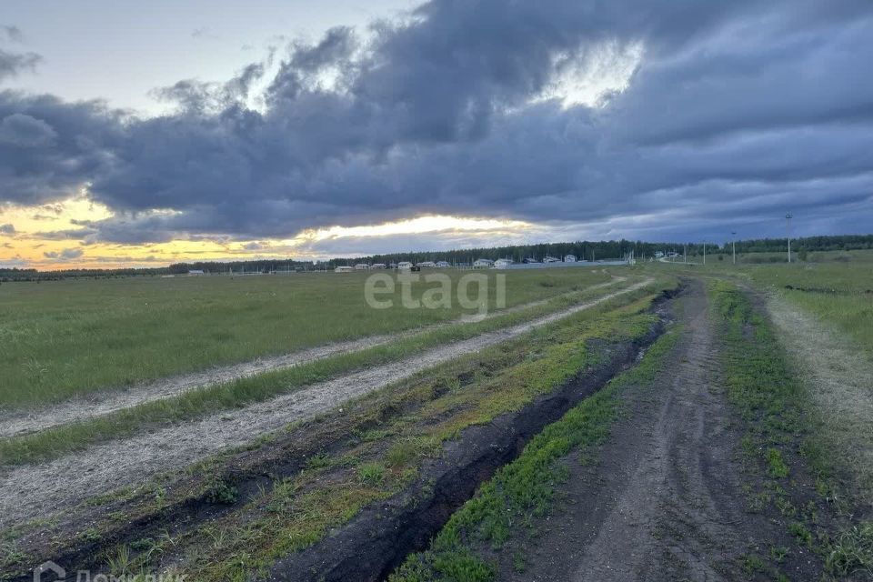 земля р-н Сосновский село Большие Харлуши фото 2