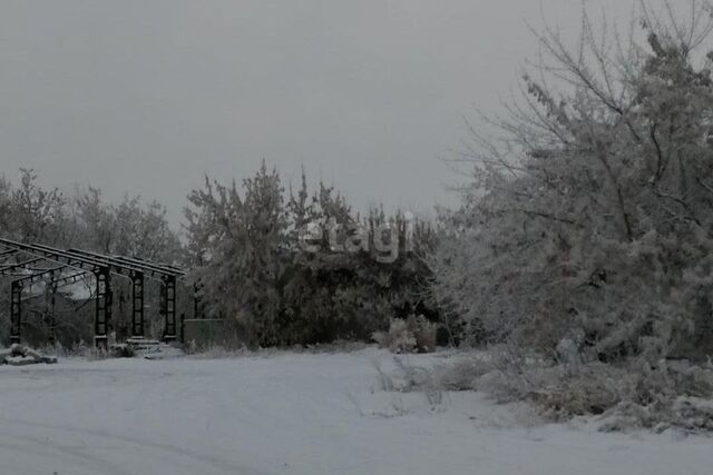 городской округ Курган, Весенняя улица фото