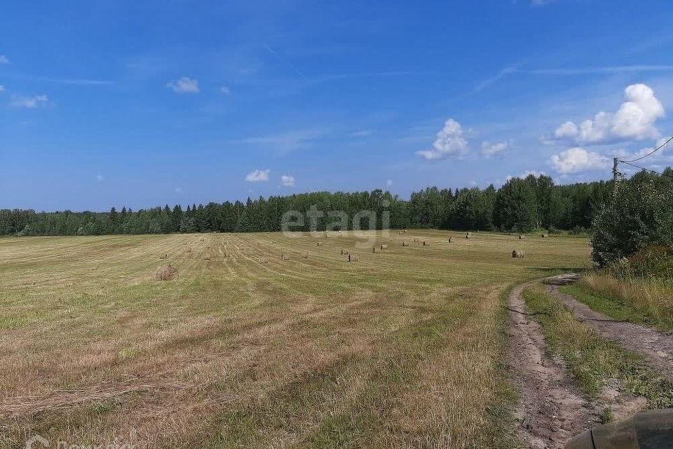 земля р-н Сыктывдинский деревня Граддор фото 2