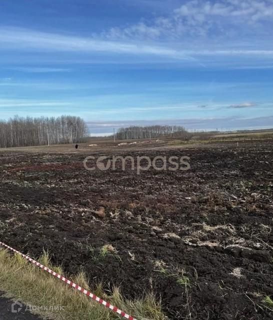 земля р-н Тюменский с Горьковка ул Совхозная фото 3