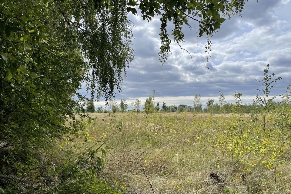 земля г Воронеж р-н Левобережный городской округ Воронеж, Левобережный фото 2