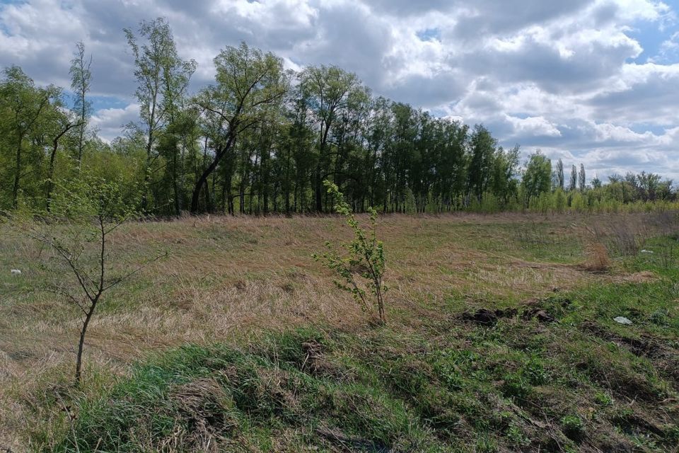 земля г Воронеж р-н Левобережный городской округ Воронеж, Левобережный фото 4