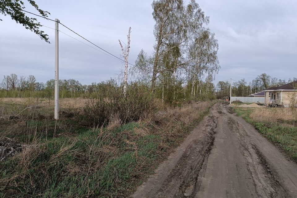 земля г Воронеж р-н Левобережный городской округ Воронеж, Левобережный фото 2