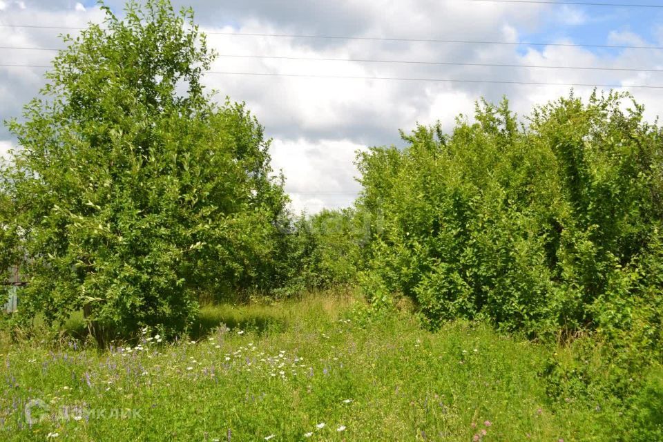 земля г Курган городской округ Курган, садоводческое некоммерческое товарищество Надежда фото 10