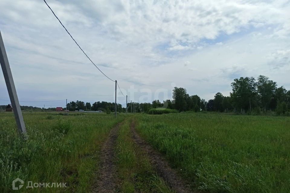 земля г Тюмень городской округ Тюмень, Европейская Зелёный бор с/о улица фото 5