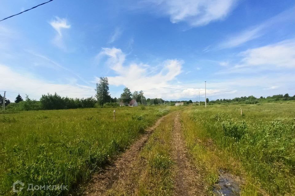 земля г Тюмень городской округ Тюмень, Европейская Зелёный бор с/о улица фото 8