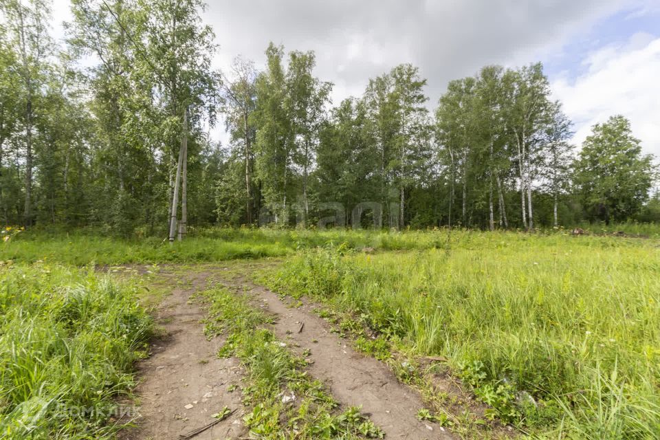 земля г Тюмень городской округ Тюмень, улица Медиков фото 7