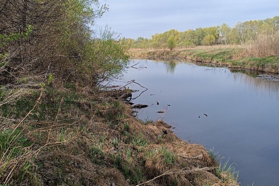 земля г Воронеж р-н Левобережный городской округ Воронеж, Левобережный фото 5